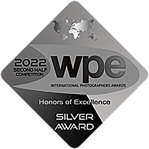 2022-wpe-silver